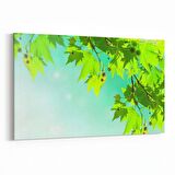 Olla 11044Y Ağaç Görseli Yatay Kanvas Tablo (Ölçü: 30X20)