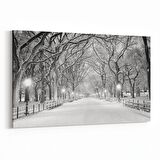 Olla 13780Y Doğa / Manzara Görseli Yatay Kanvas Tablo (Ölçü: 120X80)