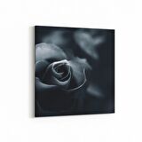 Olla 11577K Çiçek Görseli Kare Kanvas Tablo (Ölçü: 25X25)