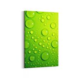 Olla 17253D Su / Damla Görseli Dikey Kanvas Tablo (Ölçü: 100X150)