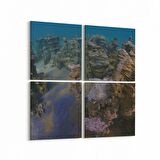Olla 13269K4 Doğa / Manzara Görseli Kare 4'lü Kanvas Tablo (Ölçü: 145X145)