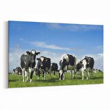 Olla 12663Y Hayvanlar Alemi Görseli Yatay Kanvas Tablo (Ölçü: 30X20)