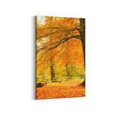 Olla 14331D Doğa / Manzara Görseli Dikey Kanvas Tablo (Ölçü: 60X90)