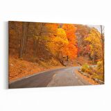 Olla 14555Y Doğa / Manzara Görseli Yatay Kanvas Tablo (Ölçü: 150X100)