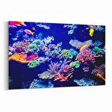 Olla 12119Y Akvaryum / Balık Görseli Yatay Kanvas Tablo (Ölçü: 90X60)