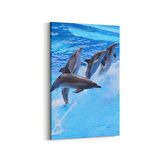 Olla 13036D Deniz / Okyanus Görseli Dikey Kanvas Tablo (Ölçü: 100X150)