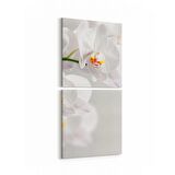 Olla 11704K2D Orkide Çiçek Görseli Kare 2'li Dikey Kanvas Tablo (Ölçü: 30X65)