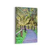 Olla 13305D Doğa / Manzara Görseli Dikey Kanvas Tablo (Ölçü: 100X150)