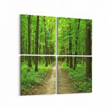 Olla 13645K4 Doğa / Manzara Görseli Kare 4'lü Kanvas Tablo (Ölçü: 65X65)