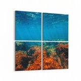 Olla 12874K4 Deniz / Okyanus Görseli Kare 4'lü Kanvas Tablo (Ölçü: 125X125)