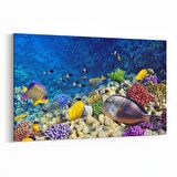 Olla 12065Y Akvaryum / Balık Görseli Yatay Kanvas Tablo (Ölçü: 30X20)