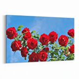 Olla 11020Y Ağaç Görseli Yatay Kanvas Tablo (Ölçü: 120X80)