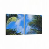 Olla 11541K2Y Palmiye Ağacı Görseli Kare 2'li Yatay Kanvas Tablo (Ölçü: 65X30)