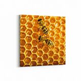 Olla 12478K Hayvanlar Alemi Görseli Kare Kanvas Tablo (Ölçü: 25X25)