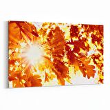 Olla 10663Y Ağaç Görseli Yatay Kanvas Tablo (Ölçü: 30X20)