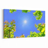 Olla 10671Y Ağaç Görseli Yatay Kanvas Tablo (Ölçü: 70X50)