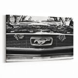 Olla 12401Y Araç Görseli Yatay Kanvas Tablo (Ölçü: 150X100)