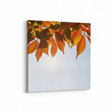 Olla 10523K Ağaç Görseli Kare Kanvas Tablo (Ölçü: 60X60)