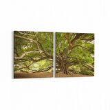 Olla 14268K2Y Doğa / Manzara Görseli Kare 2'li Yatay Kanvas Tablo (Ölçü: 105X50)