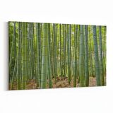 Olla 13866Y Doğa / Manzara Görseli Yatay Kanvas Tablo (Ölçü: 150X100)