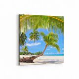 Olla 16501K Kumsal / Sahil Görseli Kare Kanvas Tablo (Ölçü: 25X25)