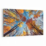 Olla 10750Y Ağaç Görseli Yatay Kanvas Tablo (Ölçü: 90X60)