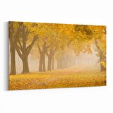 Olla 13307Y Doğa / Manzara Görseli Yatay Kanvas Tablo (Ölçü: 45X30)