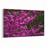 Olla 11018Y Ağaç Görseli Yatay Kanvas Tablo (Ölçü: 90X60)