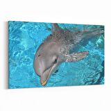 Olla 12902Y Deniz / Okyanus Görseli Yatay Kanvas Tablo (Ölçü: 90X60)