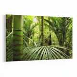 Olla 13524Y Doğa / Manzara Görseli Yatay Kanvas Tablo (Ölçü: 70X50)