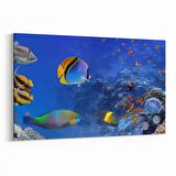 Olla 12151Y Akvaryum / Balık Görseli Yatay Kanvas Tablo (Ölçü: 70X50)
