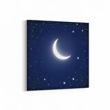 Olla 14829K Gece Gökyüzü Görseli Kare Kanvas Tablo (Ölçü: 100X100)