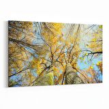 Olla 10802Y Ağaç Görseli Yatay Kanvas Tablo (Ölçü: 120X80)