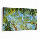 Olla 10652Y Ağaç Görseli Yatay Kanvas Tablo (Ölçü: 120X80)