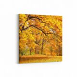 Olla 13229K Doğa / Manzara Görseli Kare Kanvas Tablo (Ölçü: 100X100)