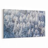 Olla 14255Y Doğa / Manzara Görseli Yatay Kanvas Tablo (Ölçü: 45X30)