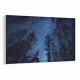 Olla 14678Y Gece Gökyüzü Görseli Yatay Kanvas Tablo (Ölçü: 150X100)