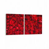 Olla 11603K2Y Çiçek Görseli Kare 2'li Yatay Kanvas Tablo (Ölçü: 65X30)