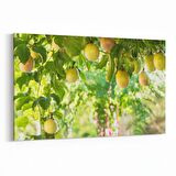 Olla 14962Y Gıda Görseli Yatay Kanvas Tablo (Ölçü: 45X30)