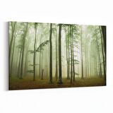 Olla 14290Y Doğa / Manzara Görseli Yatay Kanvas Tablo (Ölçü: 90X60)