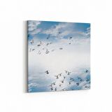 Olla 15840K Gökyüzü Kuşlar Görseli Kare Kanvas Tablo (Ölçü: 60X60)