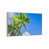 Olla 11495Y Palmiye Ağacı Görseli Yatay Kanvas Tablo (Ölçü: 120X80)