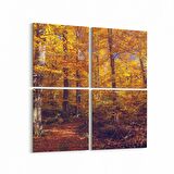 Olla 13551K4 Doğa / Manzara Görseli Kare 4'lü Kanvas Tablo (Ölçü: 65X65)