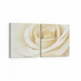 Olla 11643K2Y Çiçek Görseli Kare 2'li Yatay Kanvas Tablo (Ölçü: 105X50)