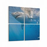 Olla 12910K4 Deniz / Okyanus Görseli Kare 4'lü Kanvas Tablo (Ölçü: 145X145)