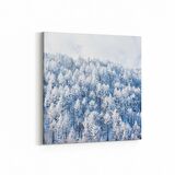 Olla 14256K Doğa / Manzara Görseli Kare Kanvas Tablo (Ölçü: 30X30)