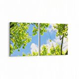 Olla 10580K2Y Ağaç Görseli Kare 2'li Yatay Kanvas Tablo (Ölçü: 65X30)