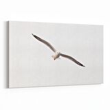 Olla 12637Y Hayvanlar Alemi Görseli Yatay Kanvas Tablo (Ölçü: 45X30)