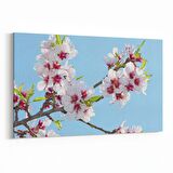 Olla 10650Y Ağaç Görseli Yatay Kanvas Tablo (Ölçü: 45X30)