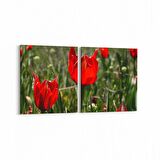 Olla 14225K2Y Doğa / Manzara Görseli Kare 2'li Yatay Kanvas Tablo (Ölçü: 145X70)